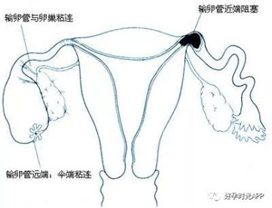 微信图片_20190621165700_副本.jpg